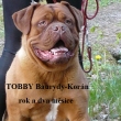 Toobby Baurydy-Kor�n 14,5 m�s�ce