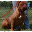 Oxi Baurydy-Kor�n