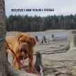BELIEVE I AM YOUR z Ok 5 a pl msce