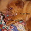 Vrh:A Baurydy Kor�n 4 a p�l t�dne
