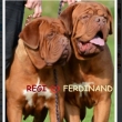 Rodi�e �t���tek:FERDINAND@REGI Baurydy-Kor�n