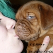VIKY Baurydy-Kor�n 5,5 t�dne