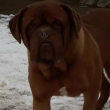 Otec:Tobby Baurydy-Kor�n