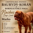 Nachos-Marko Dogs Land v Baurydy-Kor�n