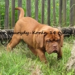 Tesoro Baurydy-Korn 14 tdn