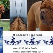 Erlos z Vl�kovsk�ho mlyna In Memori
