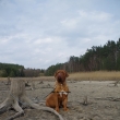 REGI Baurydy-Kor�n 4 a p�l roku
