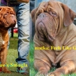 otec:Tudordogue�s SMUGLA matka: Feels Like Gold z O���k�