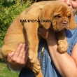 �t���tko na 7 t�dnu