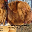 IZABELA Baurydy-Kor�n In Memori