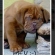 Vrh: U Baurydy-Kor�n 7 a p�l t�dne