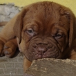 Vrh:B 7 t�dn�