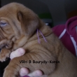 Vrh:B 4 t�dny
