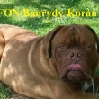 UFON Baurydy-Kor�n
