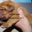 Vrh:Y Baurydy-Kor�n 2 t�deny,week