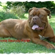 Qwela Baurydy-Kor�n
