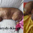 Roza Baurydy-Kor�n