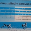 V�k psa 1