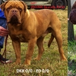Zbojnk Baurydy-Korn 4 roky