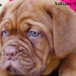 XAF�XABA O�ͩK� Baurydy-Kor�n 8 t�dn�