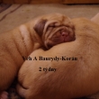 Vrh:A Baurydy Kor�n 2 t�dny