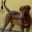 FERDINAND 3 roky