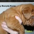 5t�dn� Baurydy-Kor�n