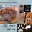 GASTON Velk� stopa In Memori
