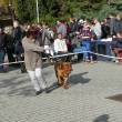 MVP �esk� Bud�jovice