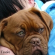 Tesoro Baurydy-Kor�n 13 t�dn�