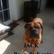 Jack Baurydy-Kor�n 10 let