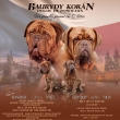 Vrh:Q v Baurydy-Kor�n