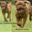 Rodi�e Tesoro Baurydy-Kor�n