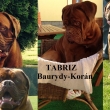 Tabriz Baurydy-Kor�n