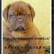 Baurydy-Kor�n vrh:T 6 t�dn�