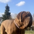 Nachos-Marko 16 m�s�c�