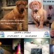 QWIPA z O���k� In Memori