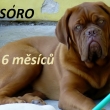 Tesoro Baurydy-Kor�n 6 m�s�c�