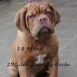 18 t�dn� Zbojn�k Baurydy-Kor�n