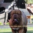 Otec: DREAM COME TRUE z O���k�