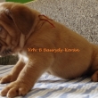 Vrh:B 5 t�dn�