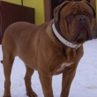 Zbojn�k Baurydy-Kor�n 4 roky