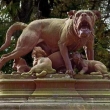 Socha vystavena v salonu des Beaux Arts r.1859 pozdji na univerzln expozici  r.1889 v Pai zaujm estn msto na pat Eiffelovky jako symbol Francie🐾♥