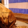Vrh:A Baurydy Kor�n 1 t�den