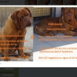 Rodi�e �t���tek vrhu Y
