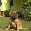 LAKY BOSS Baurydy-Kor�n