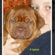6 t�dn�