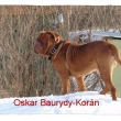 Oskar Baurydy-Kor�n