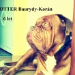 POTTER Baurydy-Kor�n