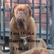 TARA O���k� Baurydy-Kor�n 12 m�s�c�